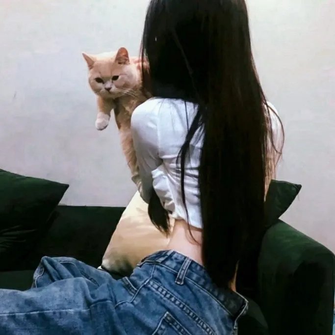 战斗吧!书店女孩 封面